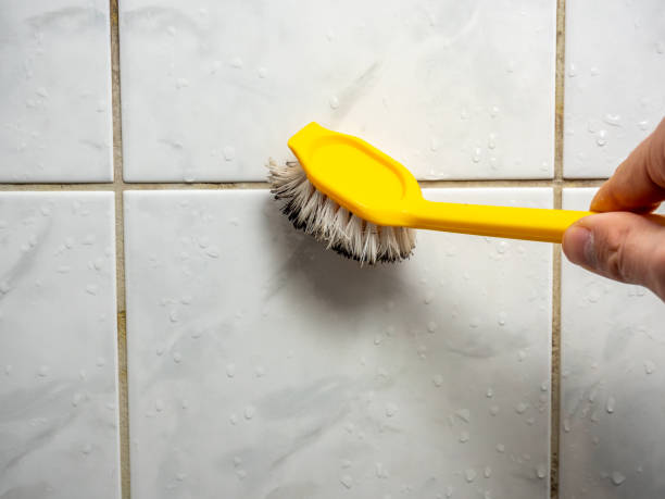 Best Black Mold Remediation in Scottsboro, AL