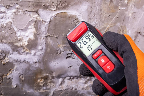 Best Attic Mold Remediation in Scottsboro, AL