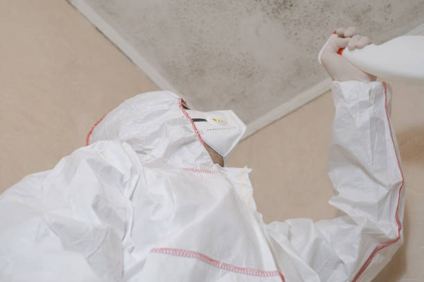 Best White Mold Remediation in Scottsboro, AL